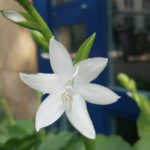 Comentario al evangelio 30.11.2025